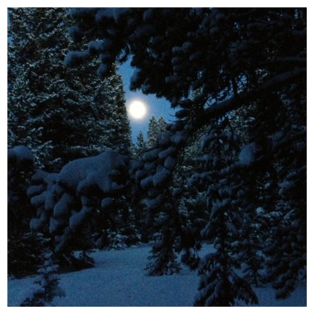 The moon through snowy forests